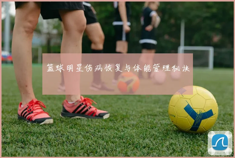 篮球明星伤病恢复与体能管理秘诀